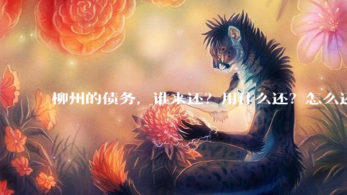 柳州的债务，谁来还？用什么还？怎么还？
