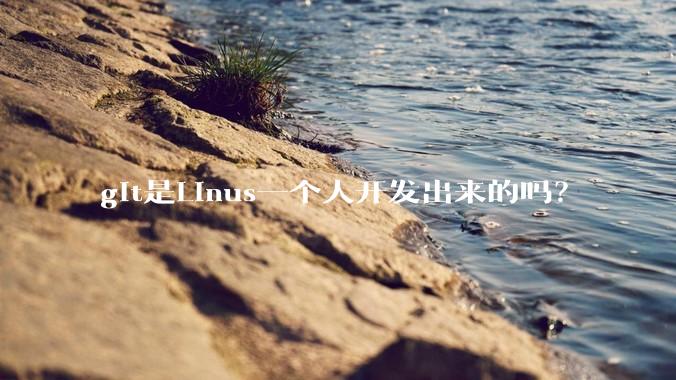 git是Linus一个人开发出来的吗？