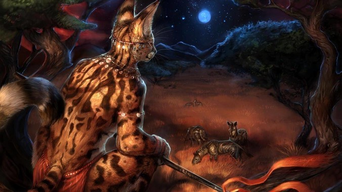 /detail/14868.html